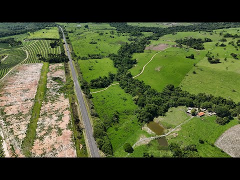 SÍTIO na RODOVIA Bofete/Porangaba! 🌾 7,3 Alqueires p/ Pecuária, Plantio e INVESTIMENTO RURAL | SP