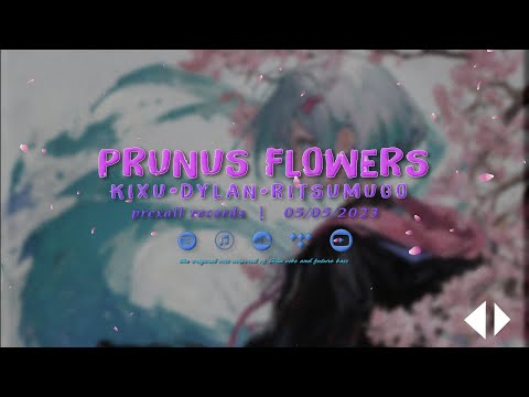 KIXU x DYLAN x RiTSUMUGo | PRUNUS FLOWER (TEASER)