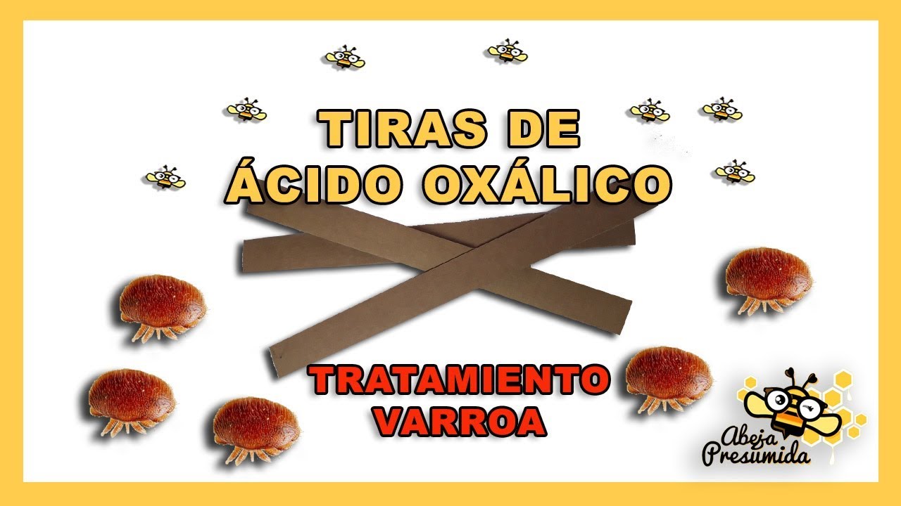 TIRAS de Ácido OXÁLICO 🐝🧡🎥 Tratamiento Varroa