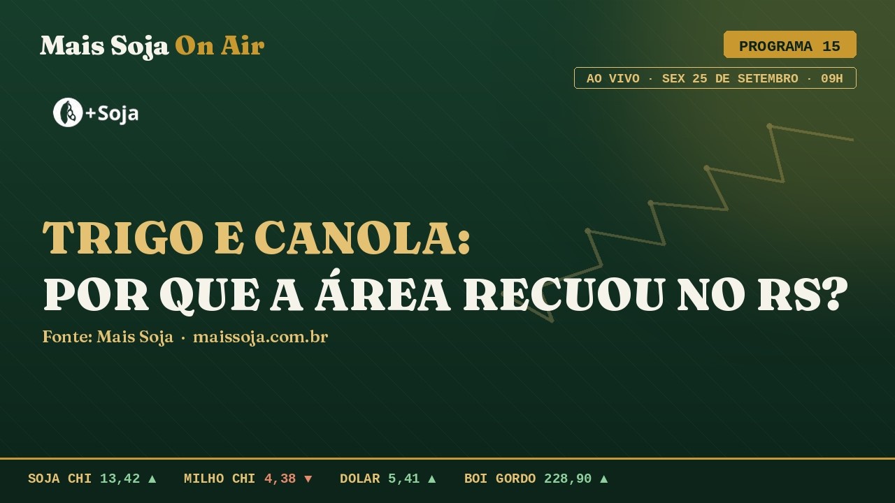 Trigo perde área no RS | Canola mais que dobra | Soja a R$ 161,84 | Mais Soja On Air