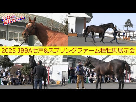ウインバリアシオンなど青森の種牡馬4頭が登場！2025年JBBA七戸&スプリングファーム合同種牡馬展示会
