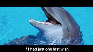 So Long, And Thanks For All The Fish from The Hitchhiker&#39;s Guide to the Galaxy 2005