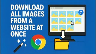 Download All Images from Any Website at Once (Chrome Extension Tutoria