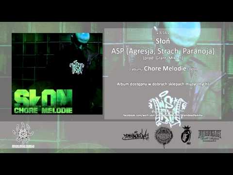 03. Słoń - ASP (Agresja, Strach, Paranoja) (prod. Grant/Mikser)