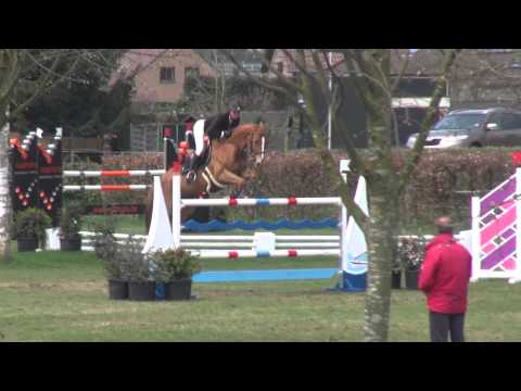 Sultane des Ibis Barrage Grand Prix des 7 ans CSI Lummen