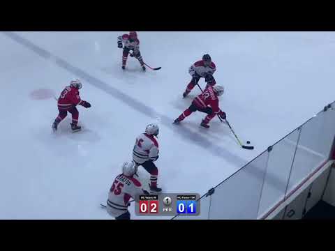 HC Vipers 09 - HC Panter/TSK