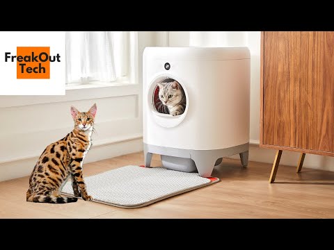 Top 5 Best Self Cleaning Litter Box