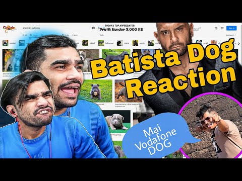 Shreeman Legend Funny Reaction On Dogs😜Dog Funny Reaction🤣 Shreeman Legend #devilegaming