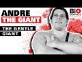 Andre The Giant The Gentle Giant
