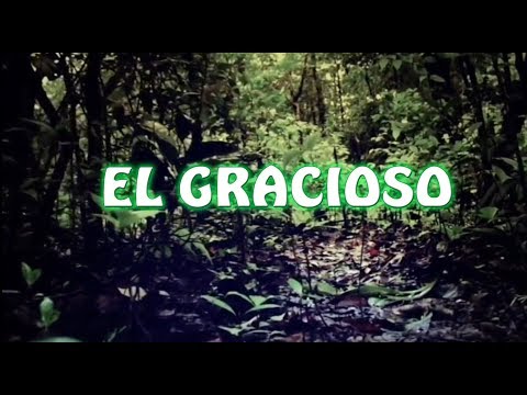 Valencian Geographic - Capítulo 2 - El gracioso