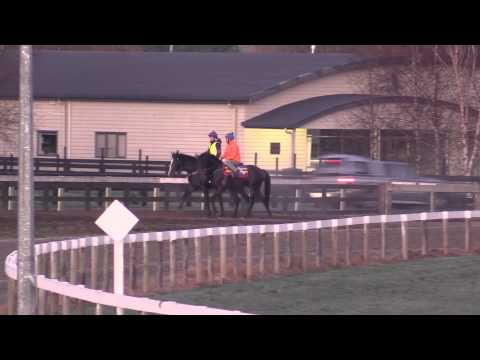 Murray Baker - Mongolian Khan, June 18