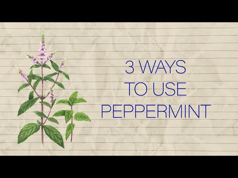 Herb Notes: The Benefits of Peppermint