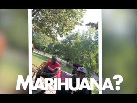 Drogensumpf im Görlitzer Park (🎥 gefilmt)  #Kieztour