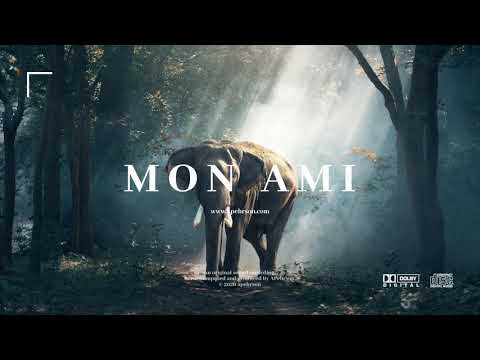 Niska ft. MAES // "MON AMI" | Instru type beat 2020