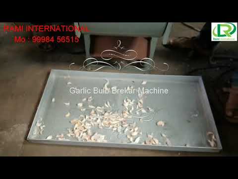 Garlic Bulb Cutter Machine