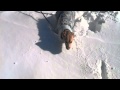 Abby S Winter Wonderland Part I