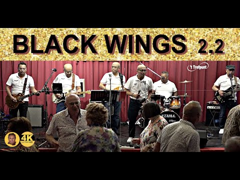 black wings 2.2     ✯✯✯     't trefpunt eindhoven