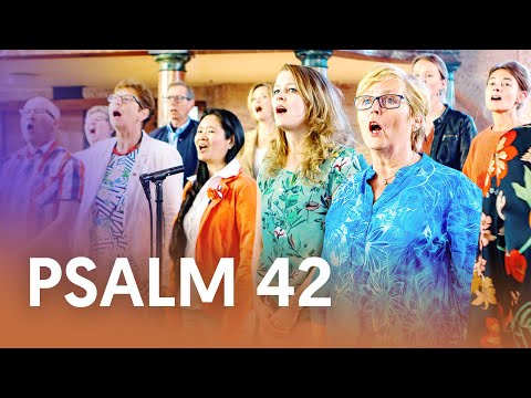 Psalm 42 - Mannenkoor Salomo | Nederland Zingt