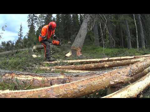 Metsolan Metsäkoulu 282- Liukutela! (epäonnistuu)