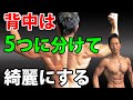 背中5つの部分に分けて、かっこよく!綺麗にする!背中は広背筋だけじゃない。ラットプルダウンと懸垂の使い分け。