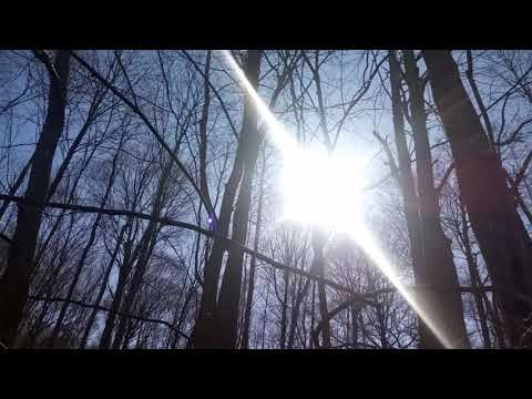 2020-0403-1559v2Something.I.have2live.with..0954ms