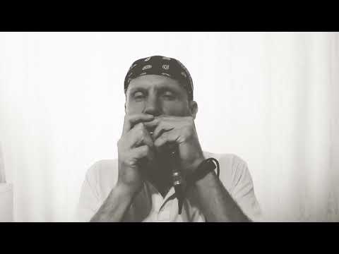 O.B.F - Chainsaw (harmonica cover) O.B.F feat. Charlie P & Belén Natalí