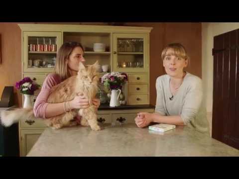 How to apply FRONTLINE® Plus to your cat