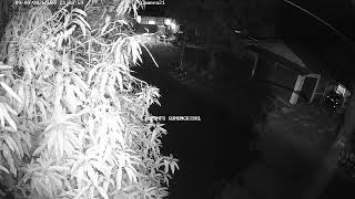 LIVE PEMANTAUAN CCTV LALULINTAS SIMPANG EMPAT BUDEGAN BARAT live webcam