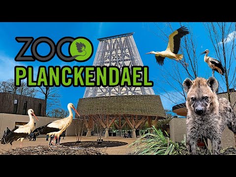 Bamboo Tower to the Sky - the Incredible New Entrance of ZOO Planckendael