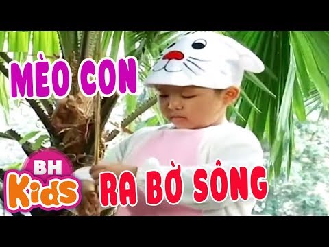 CON MÈO RA BỜ SÔNG