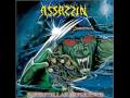 Assassin - A Message To Survive