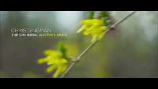 Chris Dingman "The Subliminal and the Sublime" Offical Album Trailer