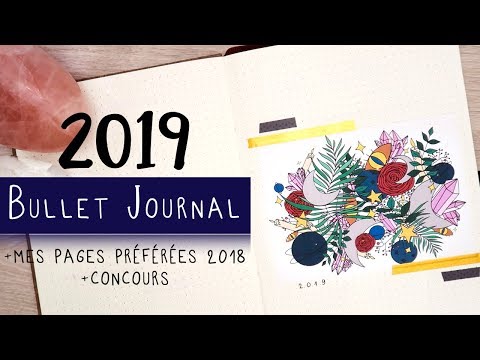 Mon Bullet Journal 2019 & mes pages préférées 2018 + CONCOURS !