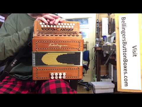 Castagnari Dinn III C#D button accordion **#500** (sold)