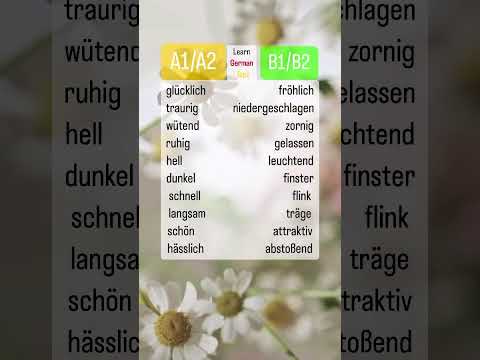Wortschatz: A1/A2 🆚B1/B2 #الماني #deutsch #german #almanya #deutschkurs