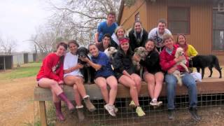 Vanderbilt Alternative Spring Break