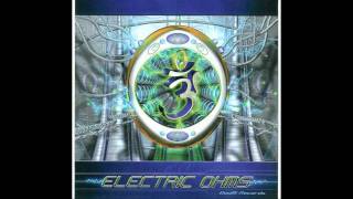 Fractal Glider  - Chasing Ganesha