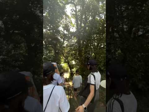 キャンプ実習  オリエンテーリング #shorts #オリエンテーリング #神社巡り