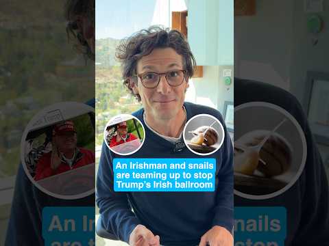 An Irishman is teaming up with snails to stop Trump's Irish ballroom