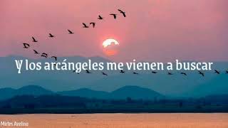 José Madero - El pájaro vio el cielo y se voló - letra