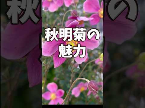 花壇を維持する方法