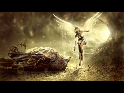 Dr Marko Lukić - Dobra smrt