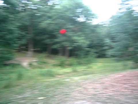 Ultimate Frisbee Golf Lucky Shot