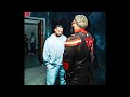 FREE Drake Type Beat TWO BIRDS ONE STONE