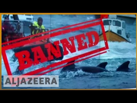 🐋 捕鯨禁止を撤回しようとしている国はどこですか? |アルジャジーラ英語