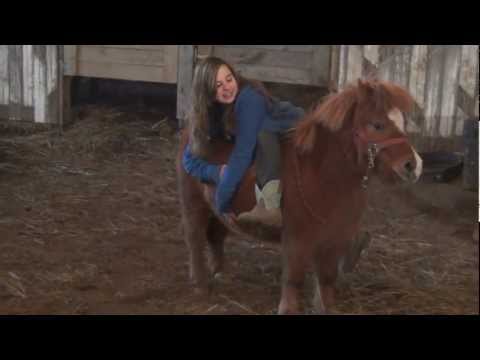 Riding My Mini Pony Backwards!