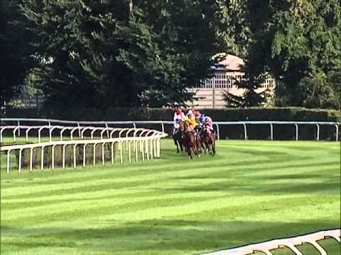 Premio Sergio Cumani 2013 (GRUPPO 3)