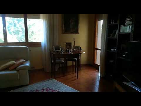 WhatsApp Video 2019 09 20 at 11 58 21