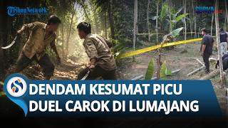 Dendam Kesumat! Ternyata Ini Penyebab Duel Carok di Lumajang hingga Tewaskan 1 Orang Pria