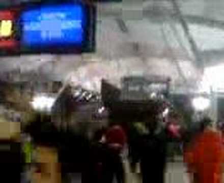 ARIS Fans Frottmaning 2